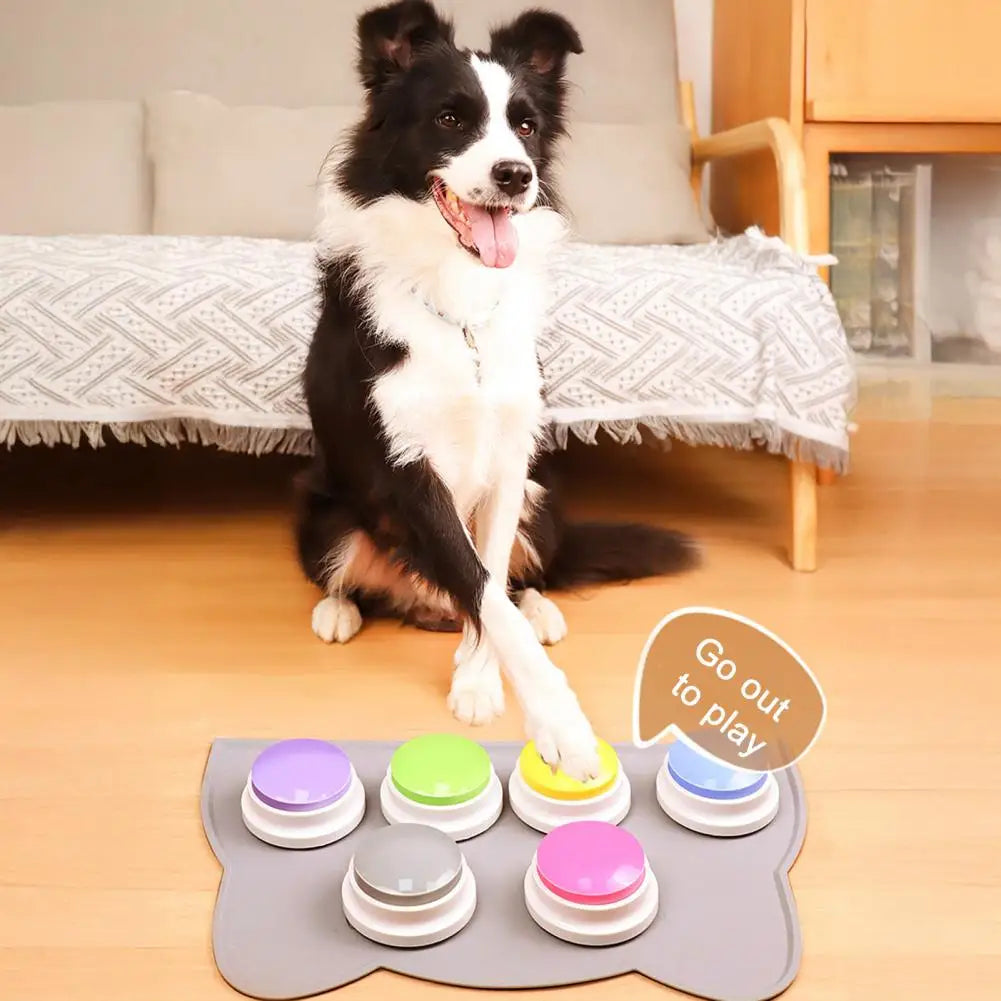 Pet Supplies